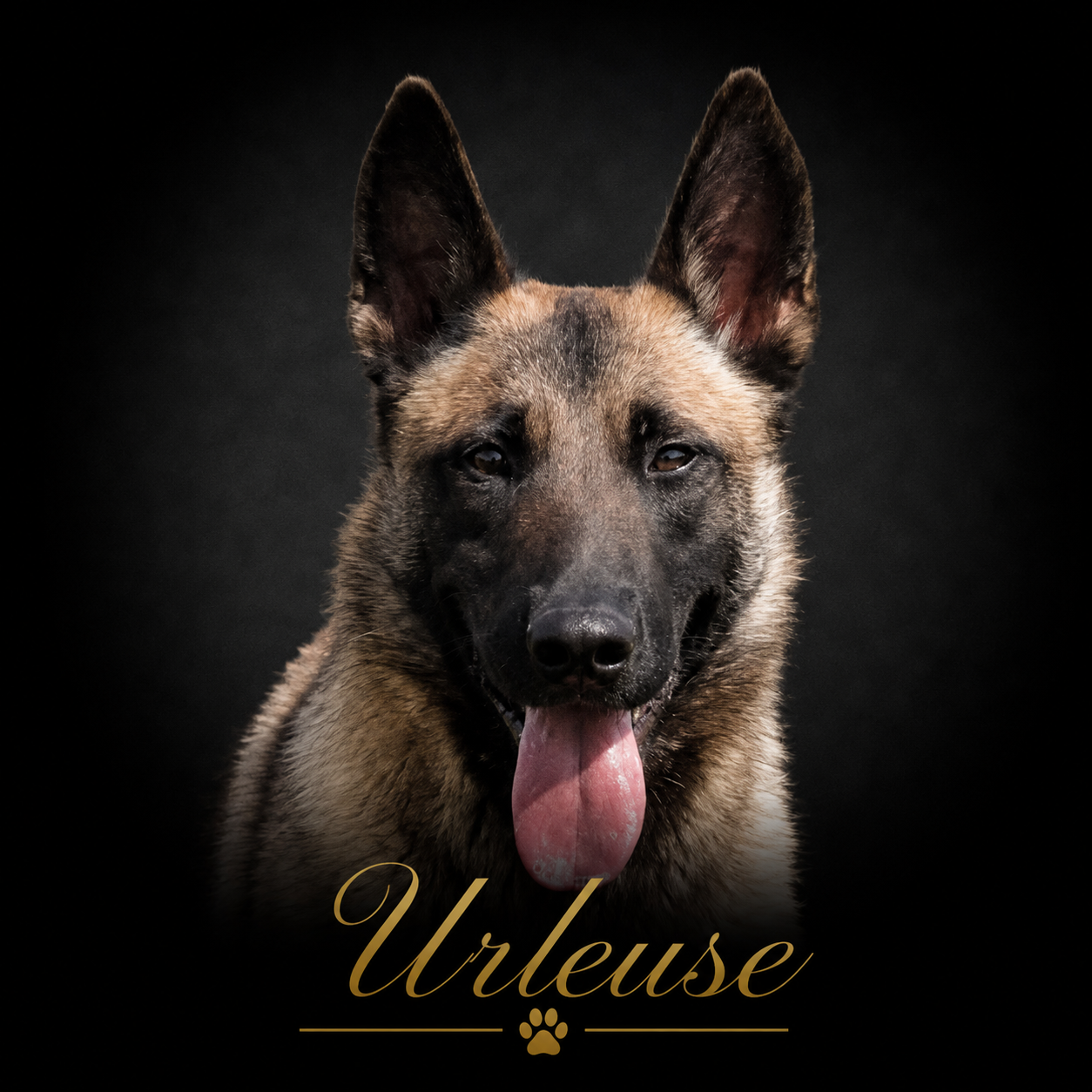 Urleuse de la vallée du grand loup