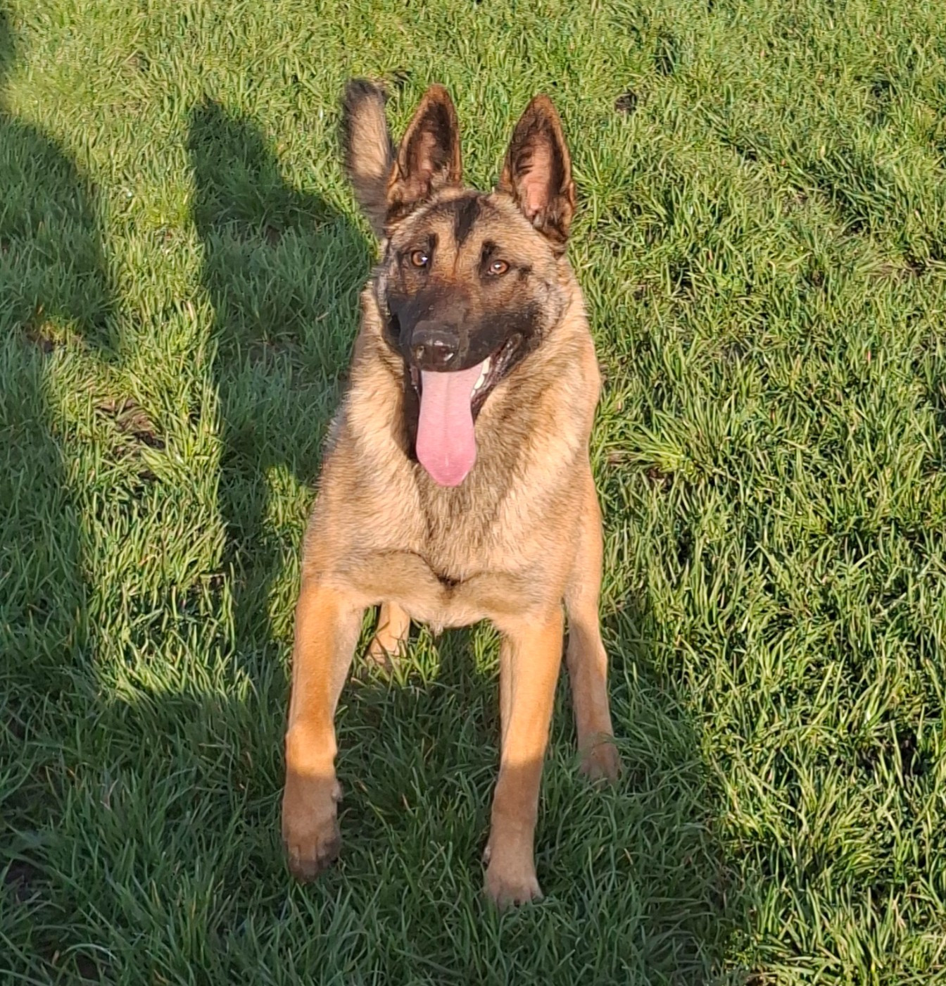 Vicky de la vallée du grand loup